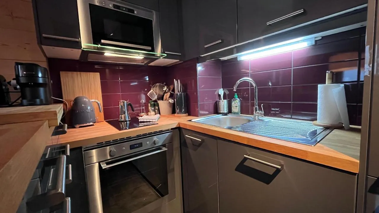 Appartement Type Studio Dans Chamonix Centre France