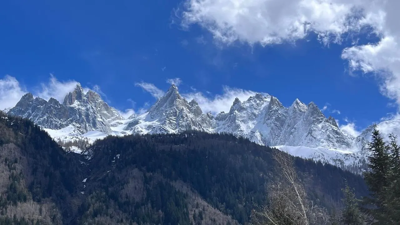 Appartement Type Studio Dans Chamonix Centre